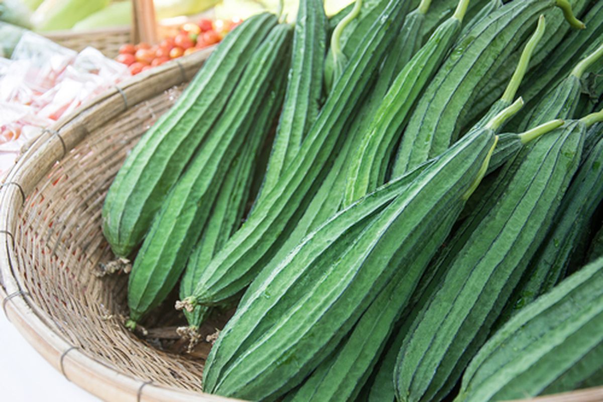 Sayur Oyong dan Kesehatan Ginjal: Fakta yang Perlu Diketahui